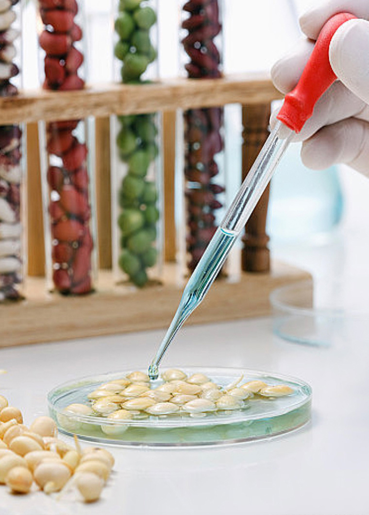 糧食重金屬檢測產品